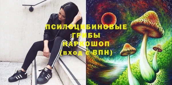 не бодяженный Алексин