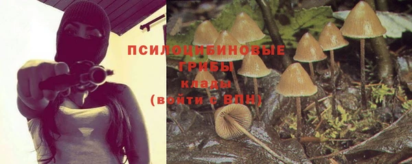 прущий лед Алексеевка